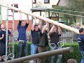 maibaum (51)